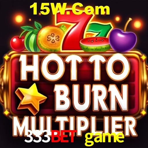 Security Systems 333bet game